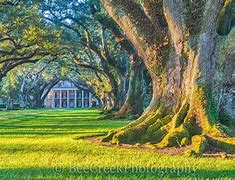 Image result for Louisiana Landscape Photos