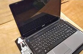 Image result for acer�feo