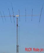 Image result for Lpda Antenna