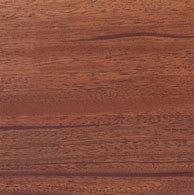 Image result for African Mahogany