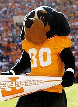 Image result for Tennessee Smokey Mascot Costume