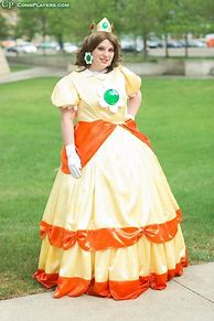 Image result for Plus Size Princess Costume