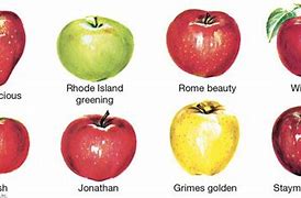 Image result for Small Size Apple