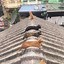 Image result for Cats On Roof Meme
