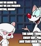 Image result for Pinky and Brain Meme