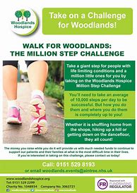 Image result for 30-Day Step Challenge Flyer