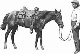 Image result for Horse Children's Ride