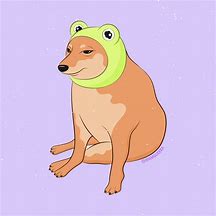 Image result for Cheems Frog Meme