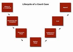 Image result for Life of a State Case
