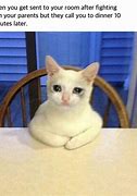 Image result for Crying Cat Meme Food
