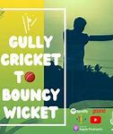 Image result for Gully Cricket Wicket