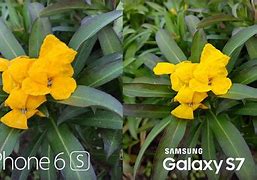 Image result for iPhone 6s 64GB Camera Quality