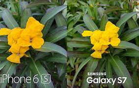 Image result for iPhone 7 vs 6s Plus