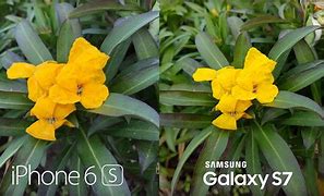 Image result for iPhone 6s Plus Camera