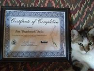 Image result for PCT Certificate