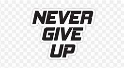 Image result for 2013 John Cena Logo Never Give Up