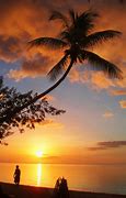 Image result for Fiji Beach Sunset
