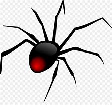 Image result for Spider Clip Art