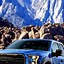 Image result for Truck iPhone
