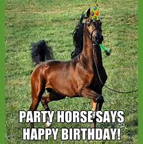 Image result for Cowboy Haappy Birthday Meme
