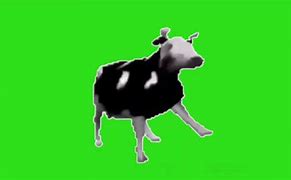 Image result for Dancing Cow Meme