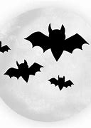 Image result for Bat Animal PNG