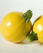 Image result for Round Squash Varieties