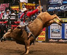 Image result for Bull Riders Only