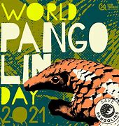 Image result for World Pangolin Day Art