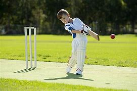 Image result for Boy Playing Cricket Clip Art