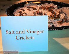 Image result for Salt N Vinegar Crickets