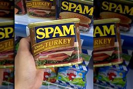 Image result for Turkey Spam