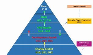 Image result for Boys Cricket Player Pathway