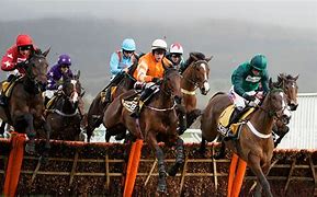 Image result for British Horse Racing