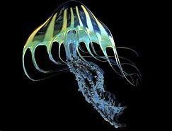 Image result for Bioluminescence Fish Over Water