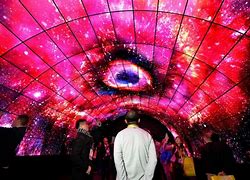 Image result for Largest OLED TV Screen