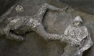 Image result for Pompeii Bones Hoodie