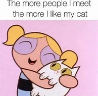Image result for Airplane Cat Meme