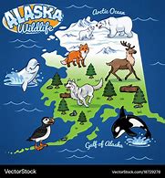 Image result for Alaska Cartoon