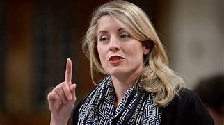 Image result for Melanie Joly Beautiful