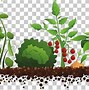 Image result for Garden Club Clip Art Frame