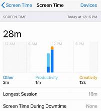 Image result for Weekly Screen Time iPhone