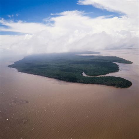 Image result for Alien Liquid Design