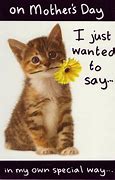 Image result for Happy Mother's Day Cat Meme