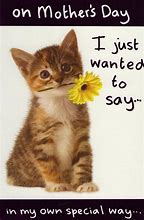 Image result for Happy Mother's Day Cat Meme