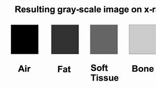 Image result for Difference Between Space Gray and Silver