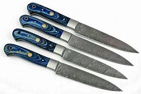 Image result for Damascus St Eel Knife