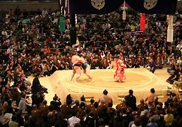 Image result for Sumo Wrestling Arena