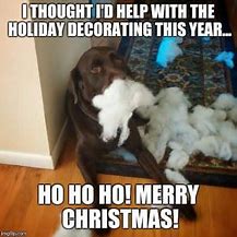 Image result for Holiday Pet Meme
