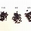 Image result for Seed Bead Sizing Chart